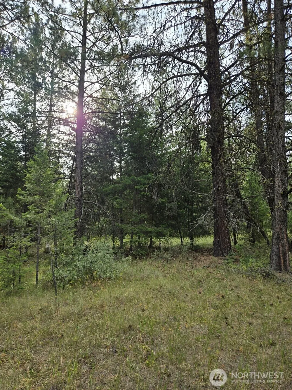 0 TBD Turner Lake Road Tonasket, WA 98855