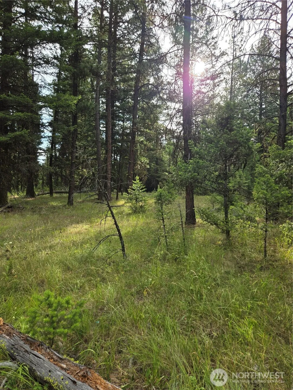 0 TBD Turner Lake Road Tonasket, WA 98855