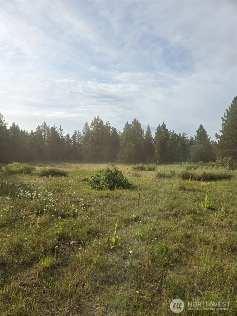 0 TBD Turner Lake Road Tonasket, WA 98855