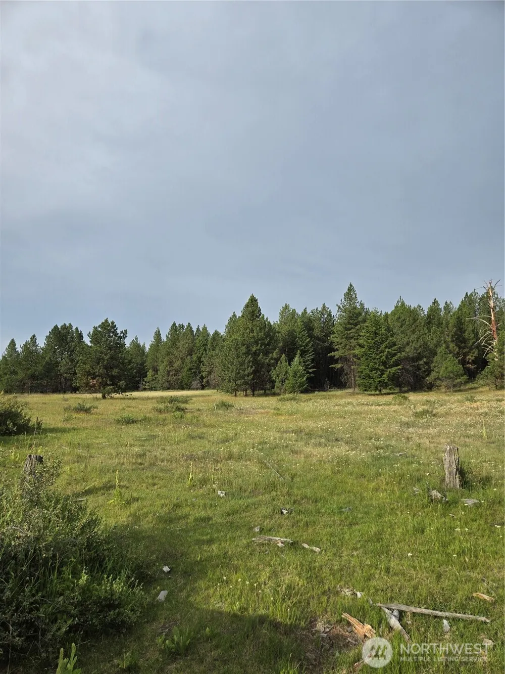0 TBD Turner Lake Road Tonasket, WA 98855