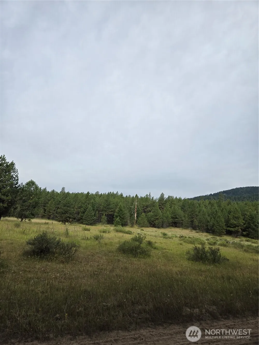 0 TBD Turner Lake Road Tonasket, WA 98855