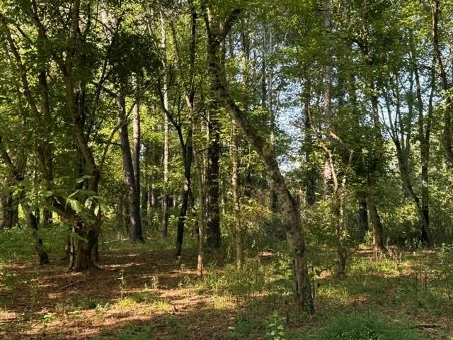 19 Canter Lane NE Cartersville, GA 30121