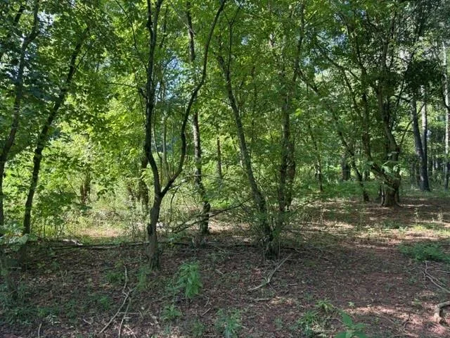 19 Canter Lane NE Cartersville, GA 30121