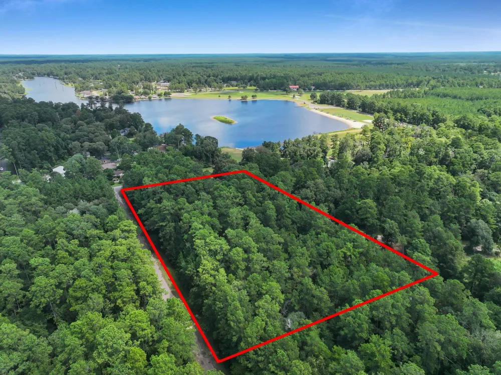 1000 Forsythia Drive Village Mills, TX 77663