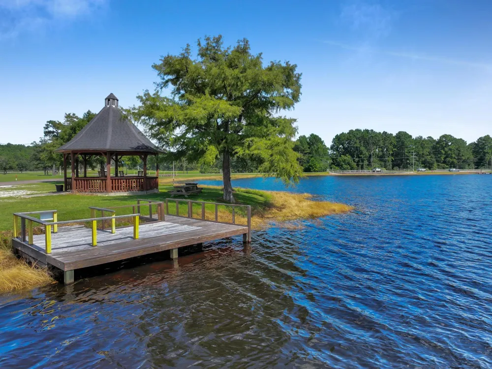 1000 Forsythia Drive Village Mills, TX 77663