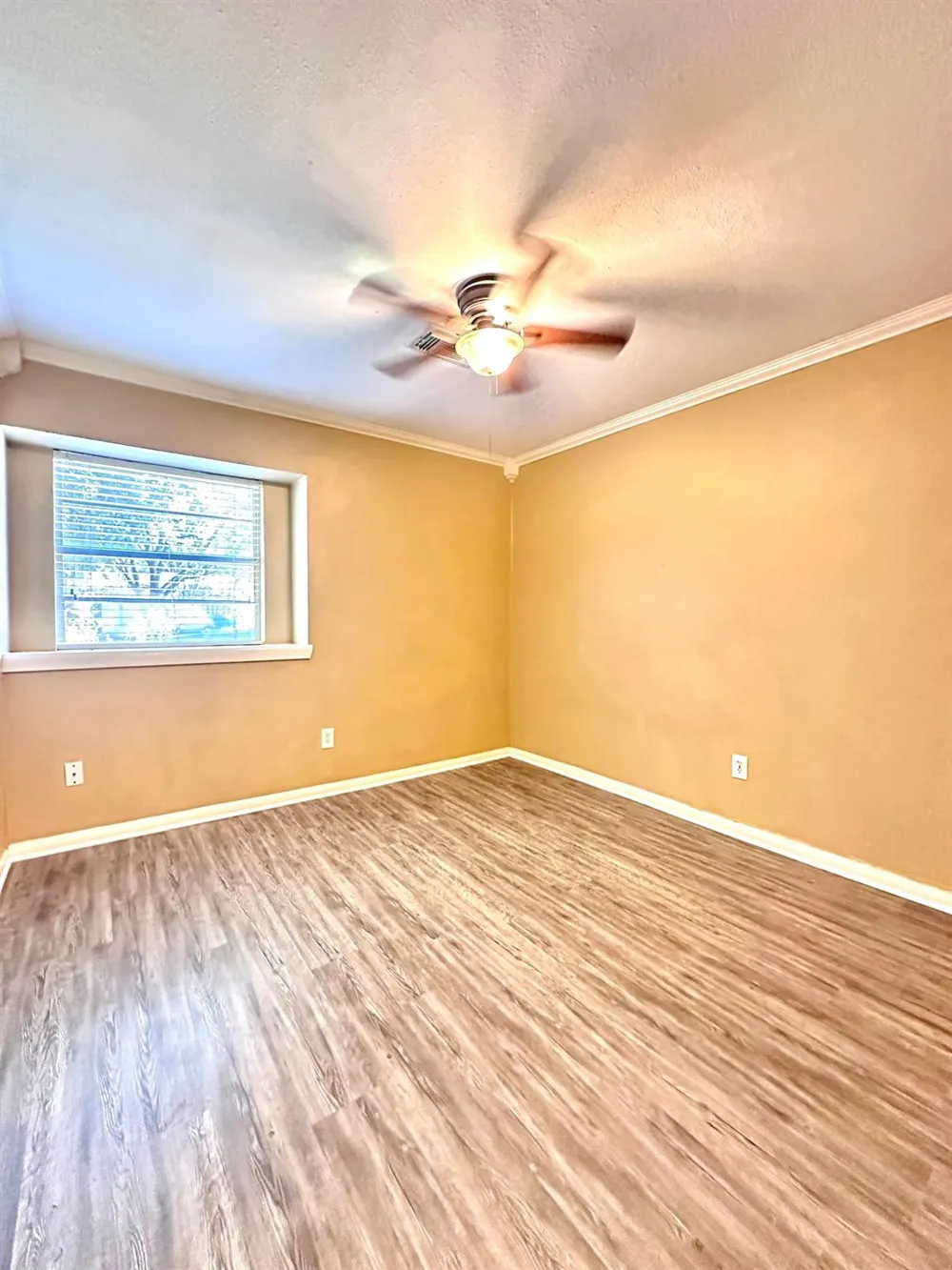 5830 Effingham Drive Houston, TX 77035