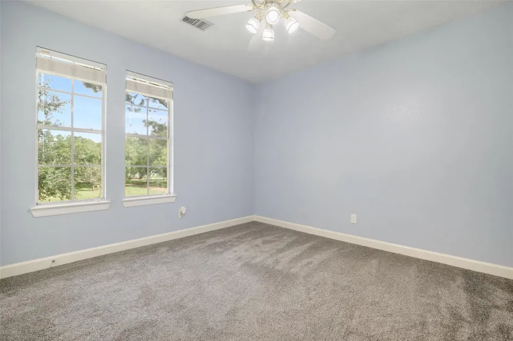 705 Briarmeadow Avenue Friendswood, TX 77546