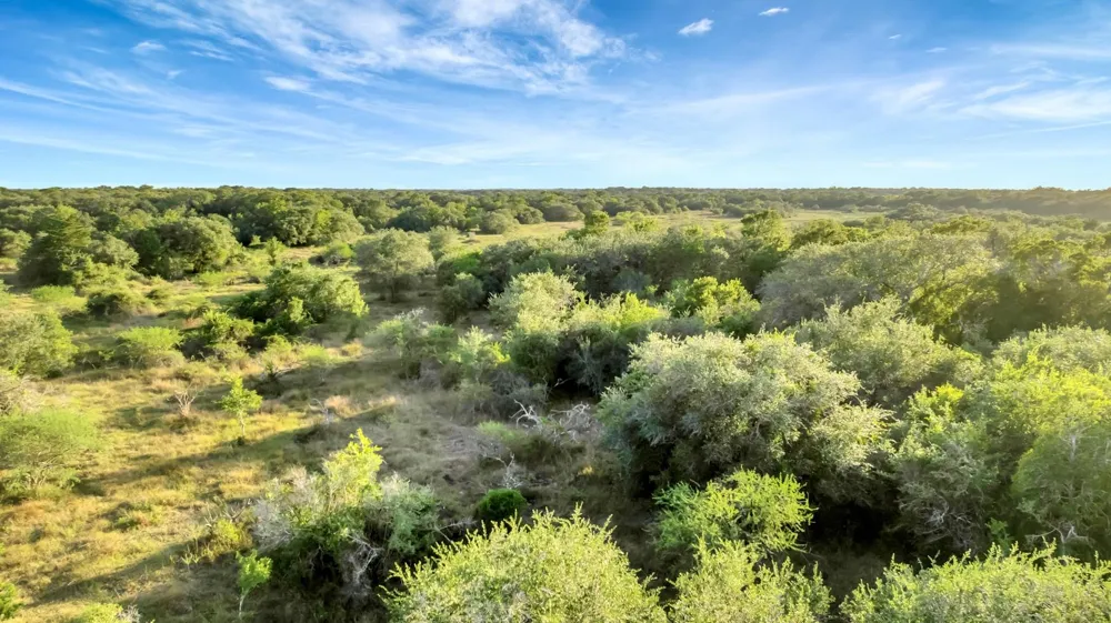 Private Road 4620 Francitas, TX 77961