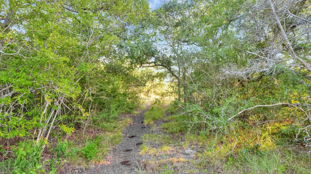 Private Road 4620 Francitas, TX 77961