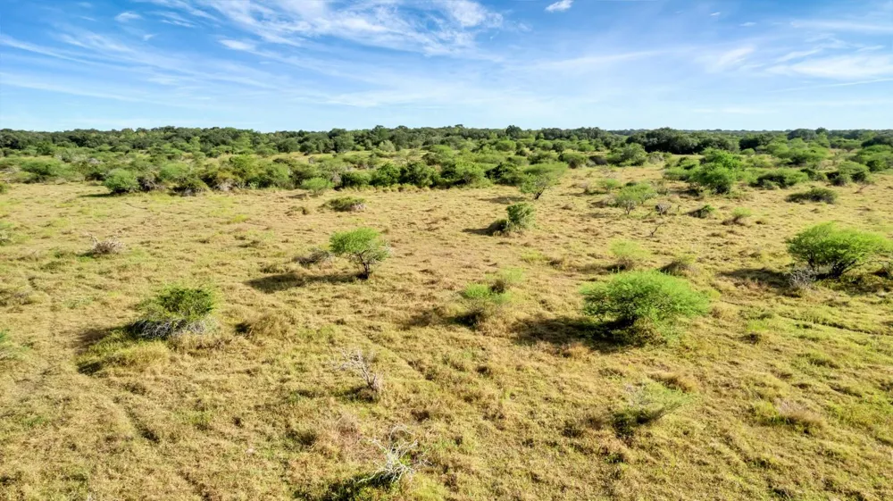Private Road 4620 Francitas, TX 77961