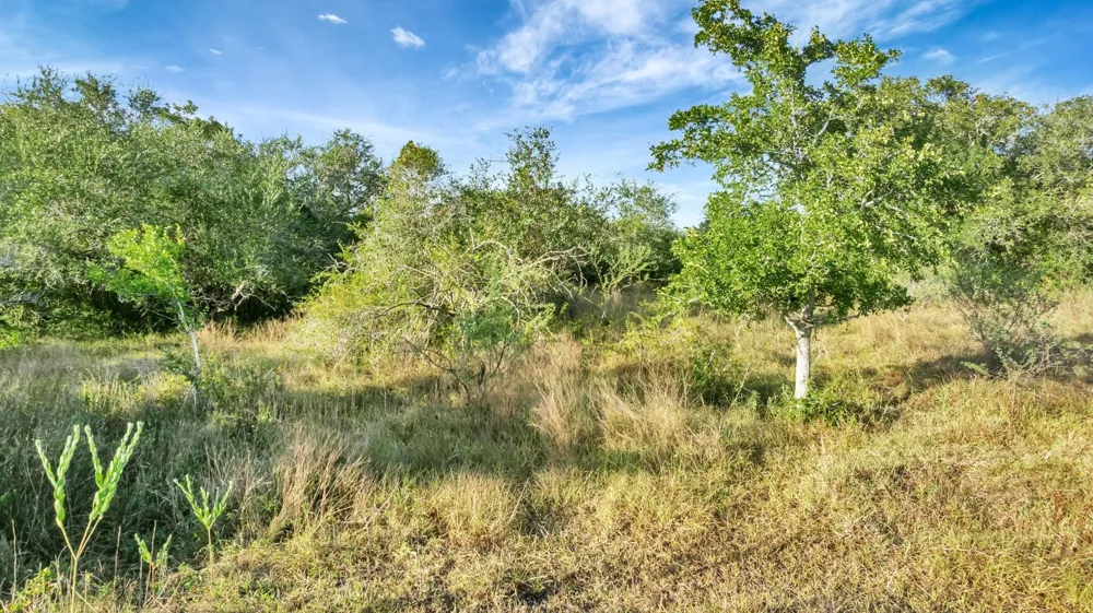 Private Road 4620 Francitas, TX 77961