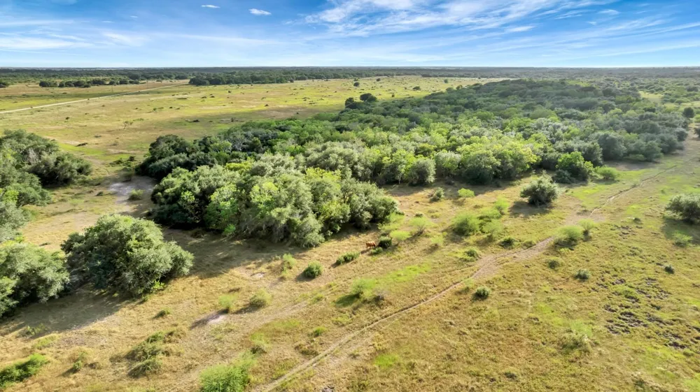 Private Road 4620 Francitas, TX 77961