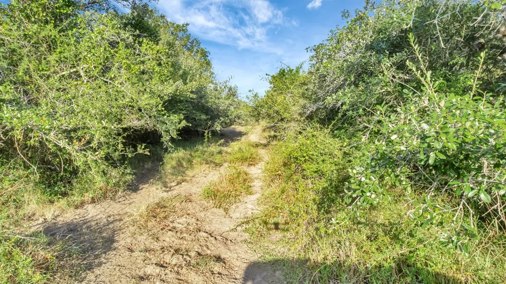 Private Road 4620 Francitas, TX 77961
