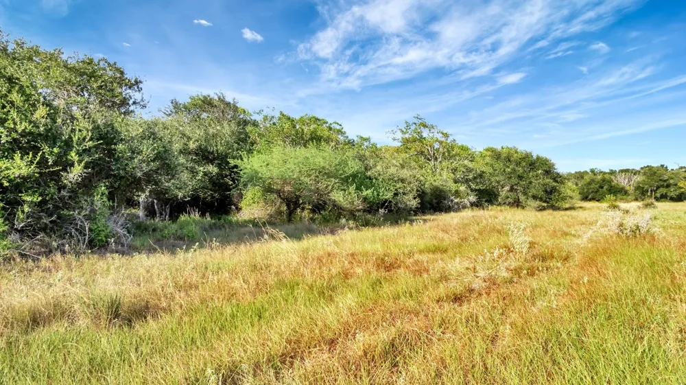 Private Road 4620 Francitas, TX 77961
