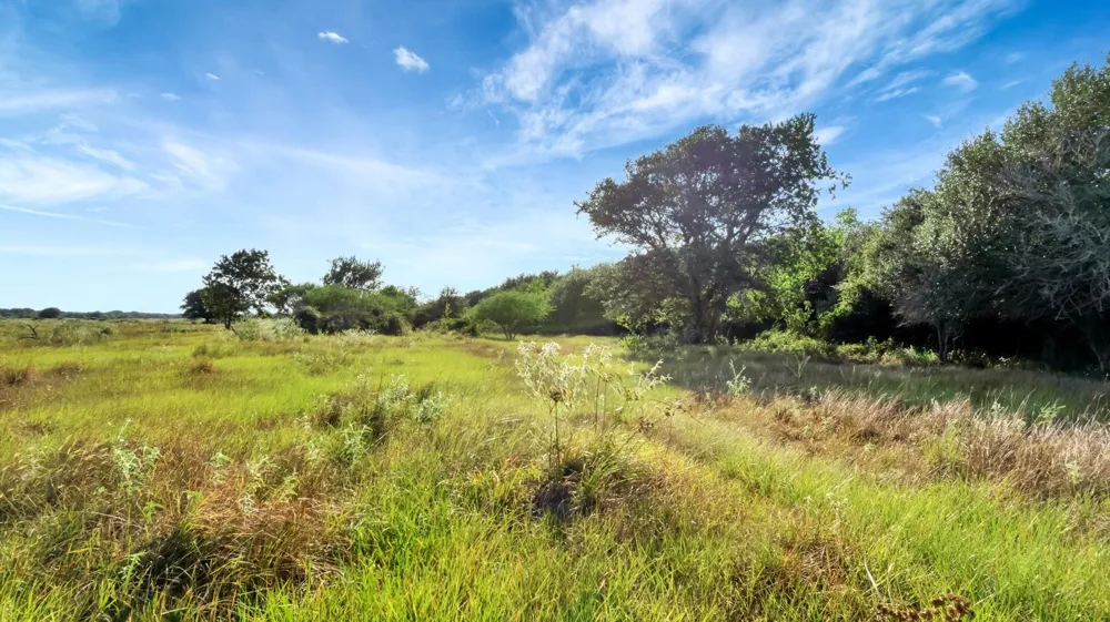 Private Road 4620 Francitas, TX 77961
