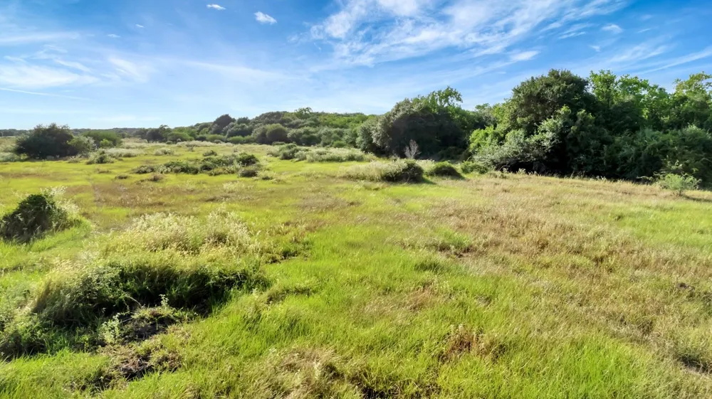 Private Road 4620 Francitas, TX 77961
