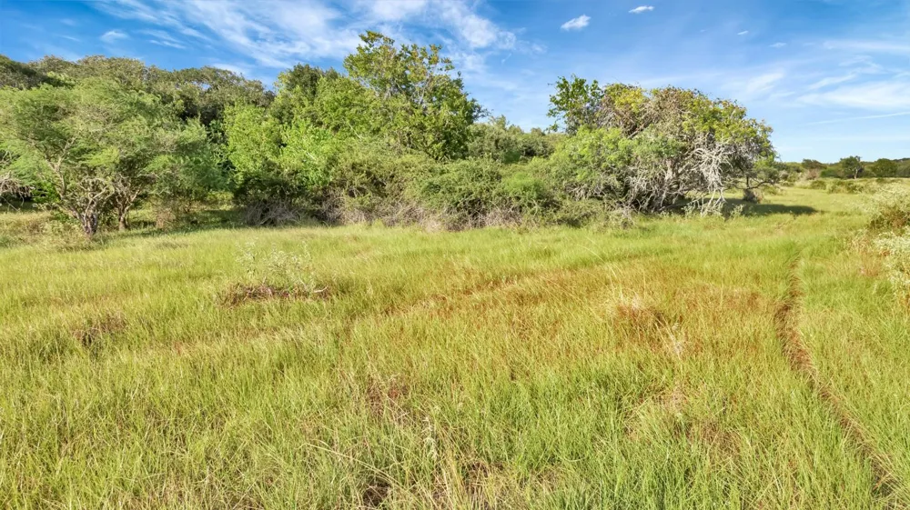 Private Road 4620 Francitas, TX 77961