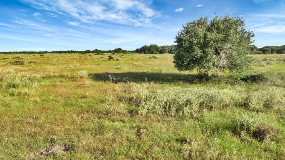 Private Road 4620 Francitas, TX 77961