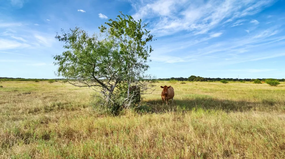 Private Road 4620 Francitas, TX 77961
