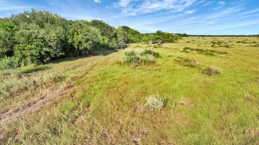 Private Road 4620 Francitas, TX 77961