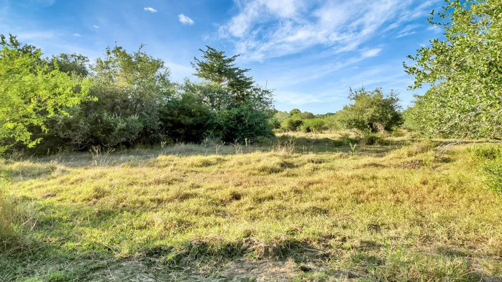 Private Road 4620 Francitas, TX 77961