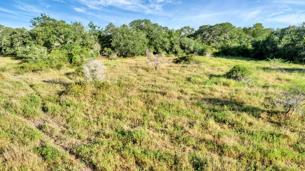 Private Road 4620 Francitas, TX 77961