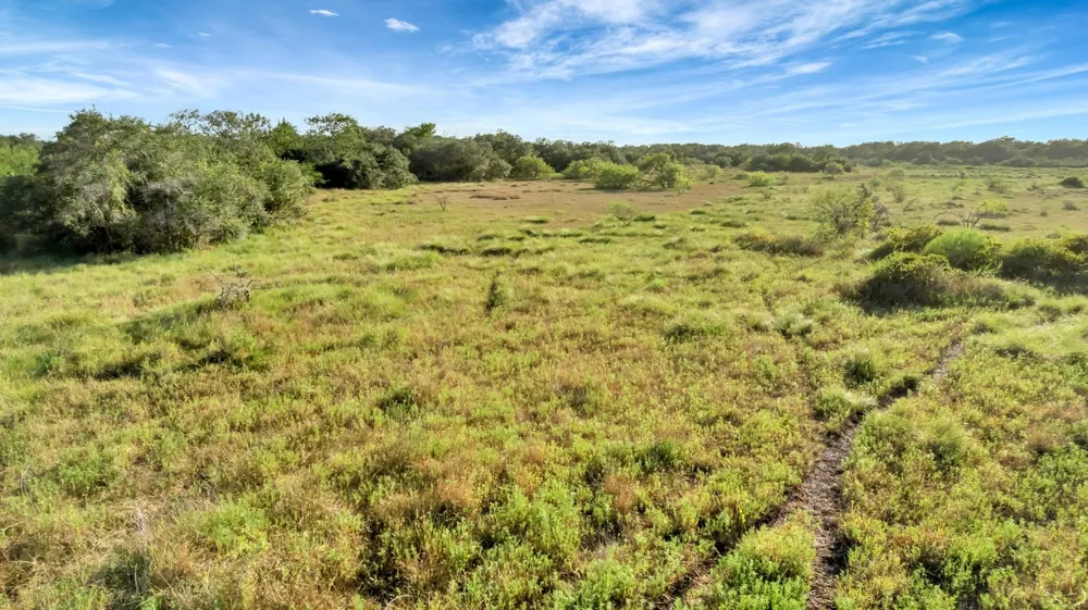 Private Road 4620 Francitas, TX 77961