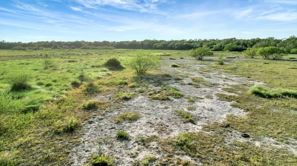 Private Road 4620 Francitas, TX 77961