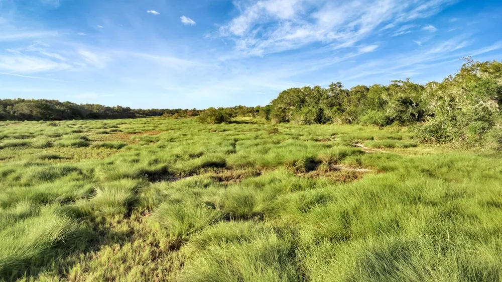 Private Road 4620 Francitas, TX 77961