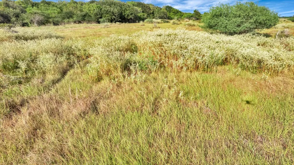 Private Road 4620 Francitas, TX 77961