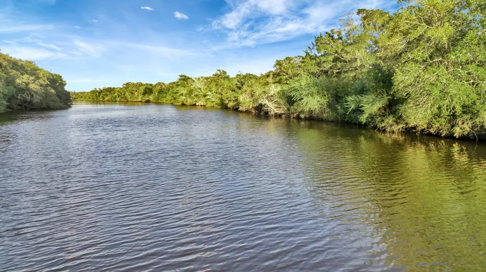 Private Road 4620 Francitas, TX 77961