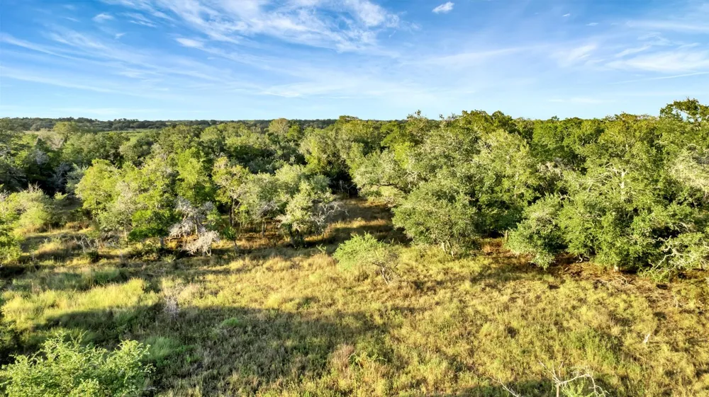 Private Road 4620 Francitas, TX 77961
