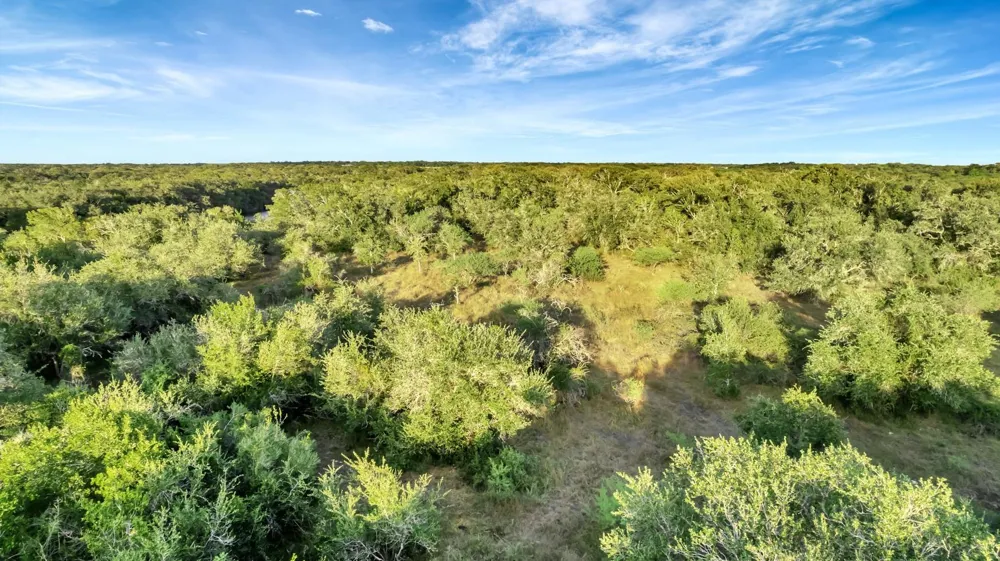 Private Road 4620 Francitas, TX 77961