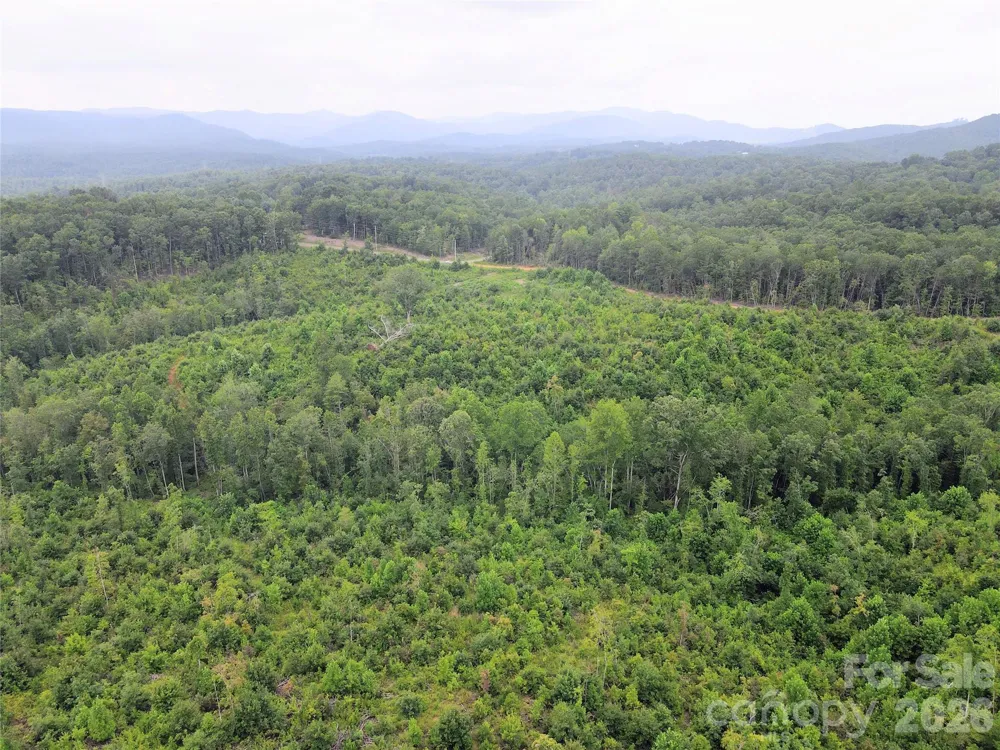 0 Youngs Creek Road Morganton, NC 28655