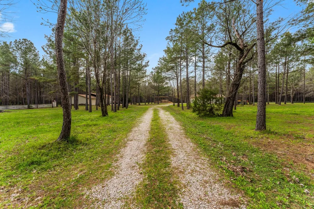 2460 Fm 3126 Livingston, TX 77351