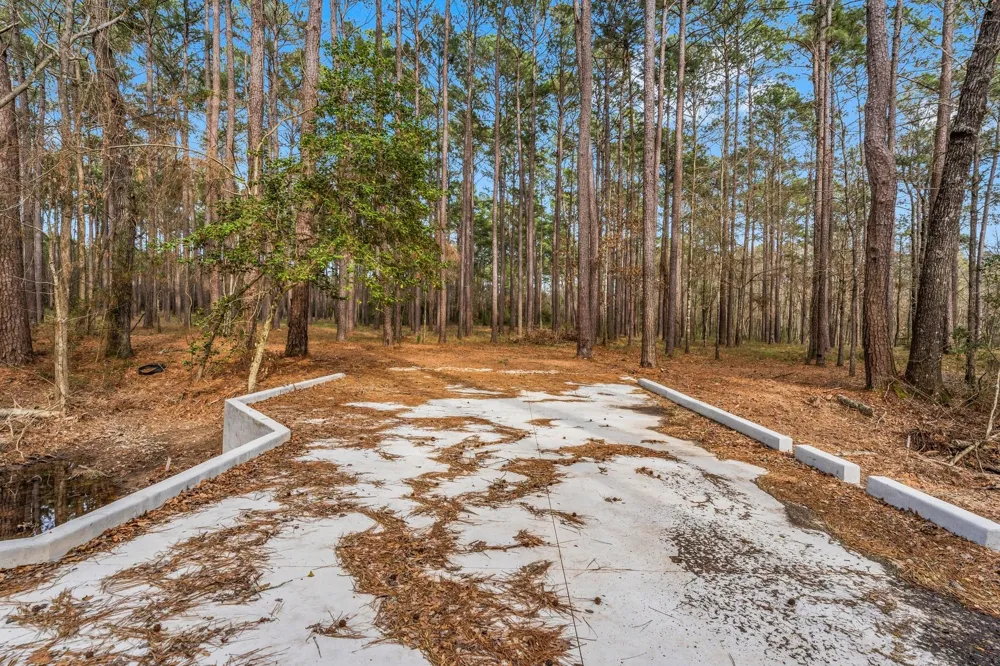 2460 Fm 3126 Livingston, TX 77351