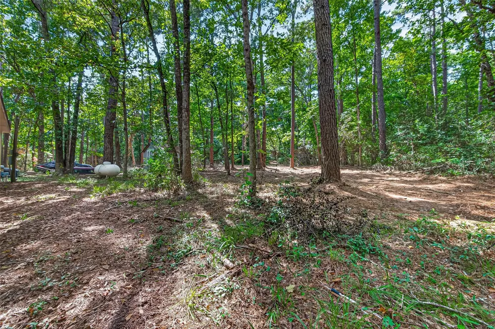 13870 Coaltown Road Willis, TX 77378
