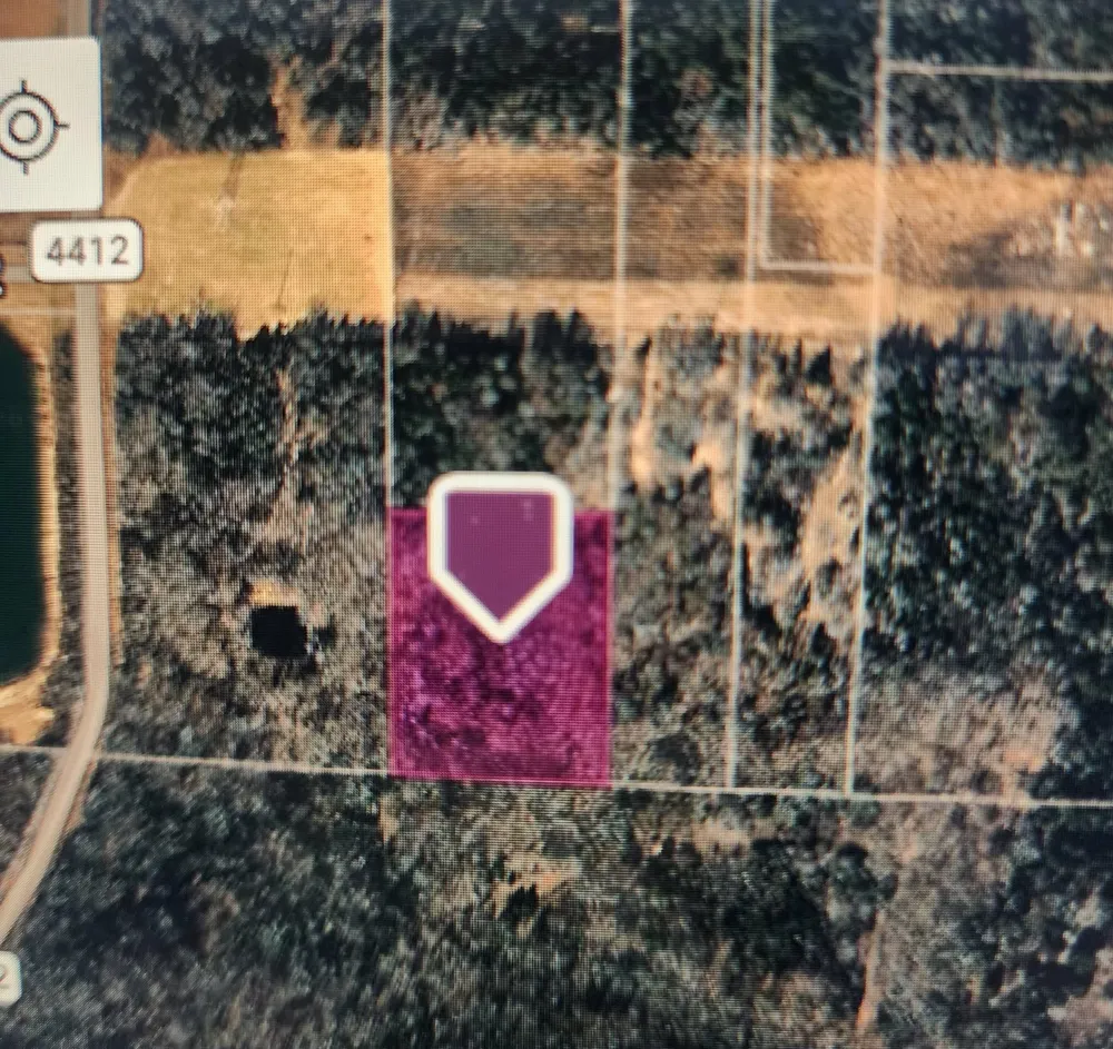 270 VZ County Road 4419 Ben Wheeler, TX 75754