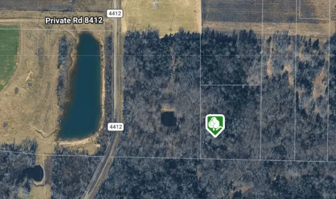 270 VZ County Road 4419 Ben Wheeler, TX 75754