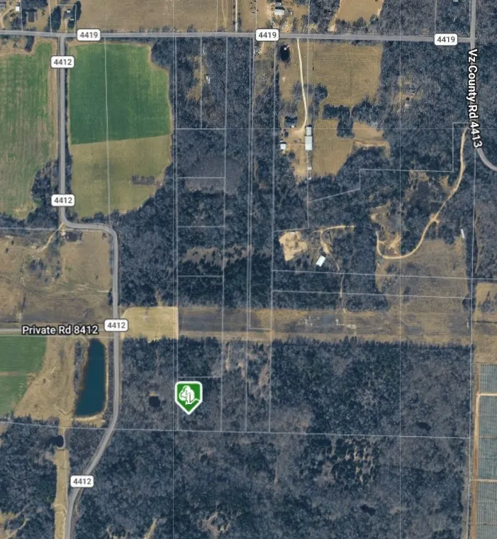 270 VZ County Road 4419 Ben Wheeler, TX 75754