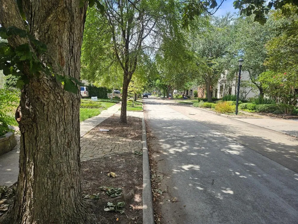 2709 Albans Road West University Place, TX 77005