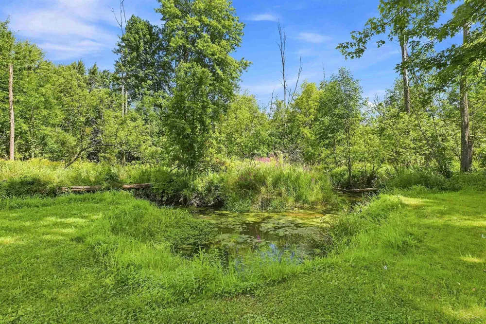 3242 Senske Road Deep River Township, MI 48658