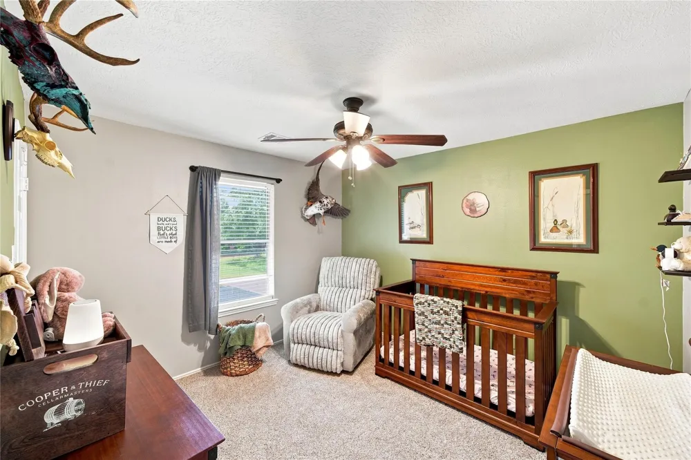 217 Fox Springs Court Dickinson, TX 77539