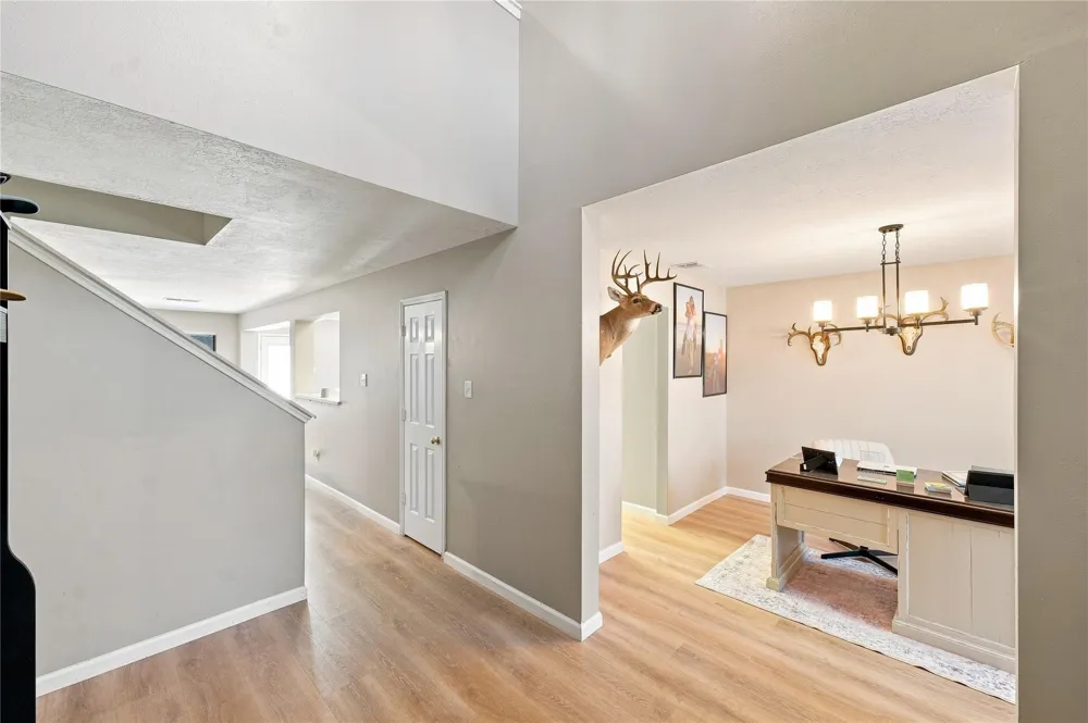 217 Fox Springs Court Dickinson, TX 77539