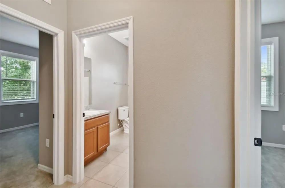 10606 LAGUNA PLAINS DRIVE Riverview, FL 33578