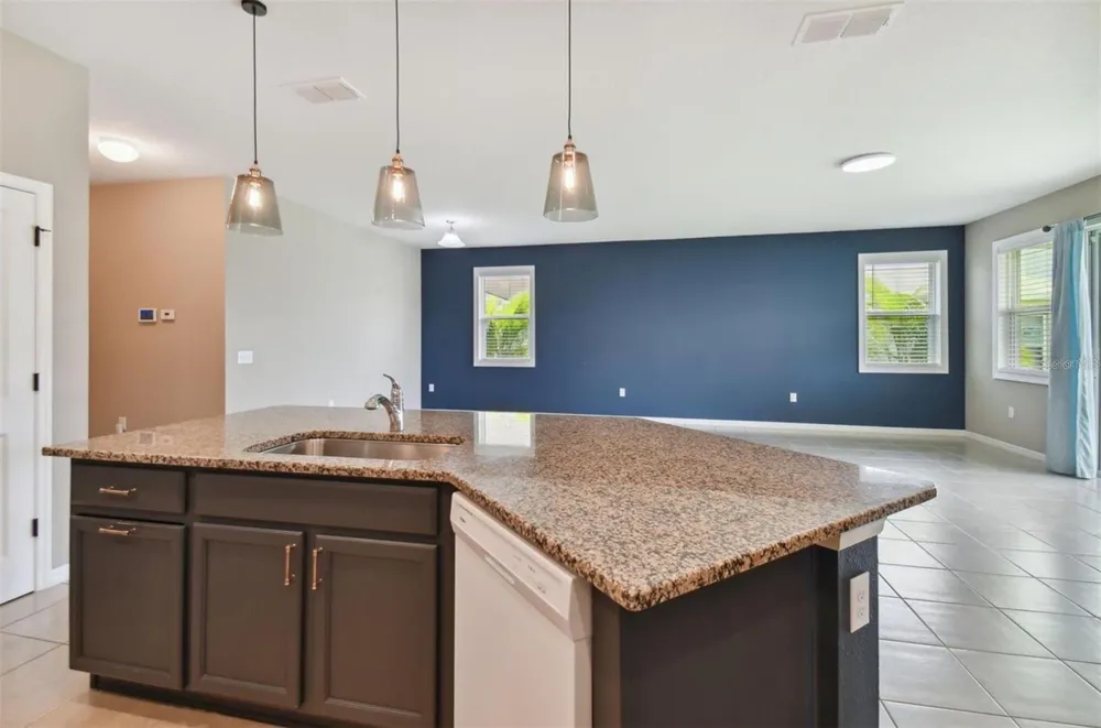 10606 LAGUNA PLAINS DRIVE Riverview, FL 33578