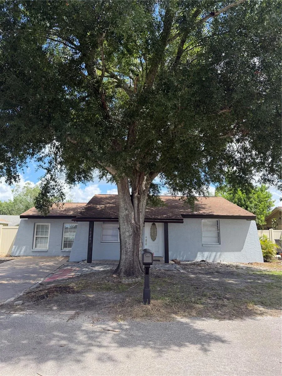10205 BELLHURST COURT Tampa, FL 33615