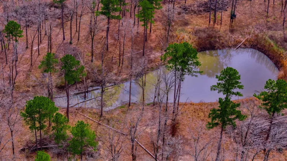 148 Private Road 8033 Crockett, TX 75835