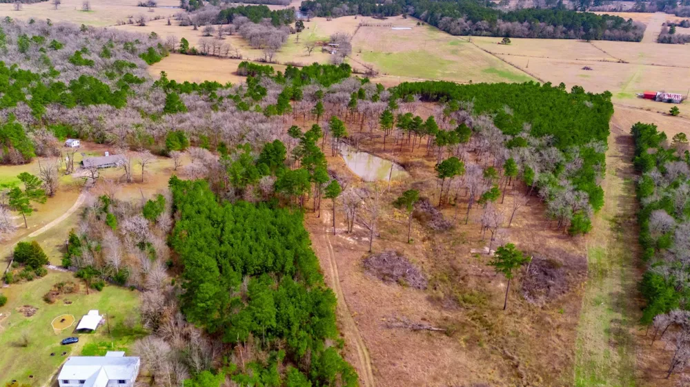 148 Private Road 8033 Crockett, TX 75835