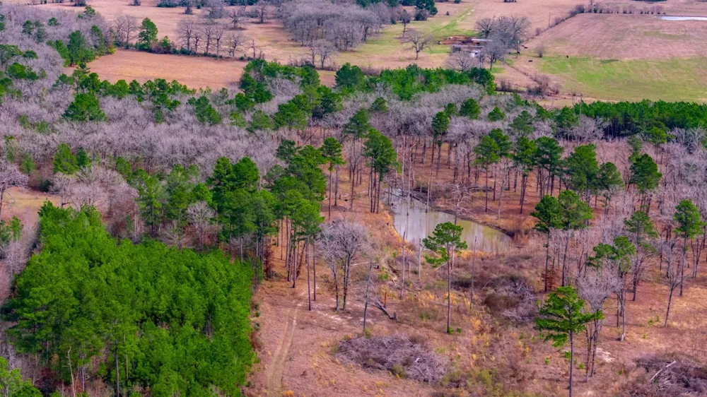 148 Private Road 8033 Crockett, TX 75835